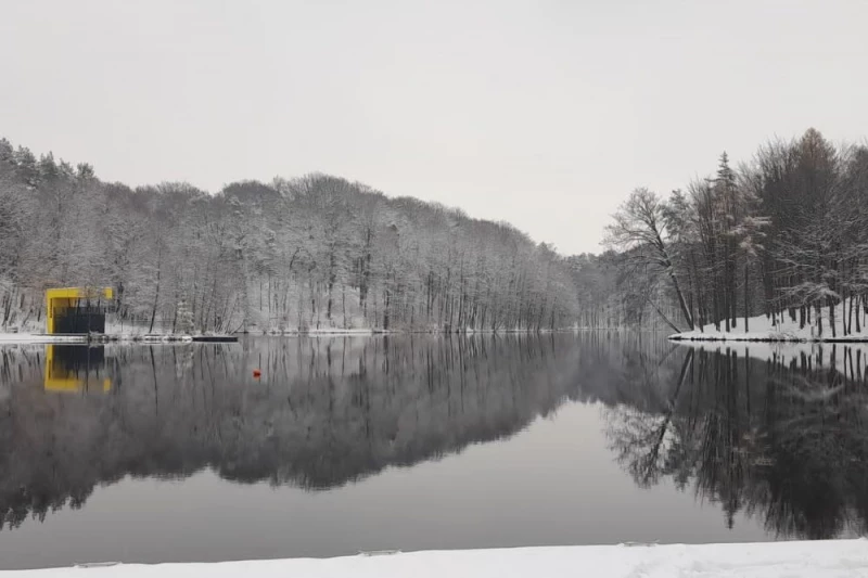 Wodzisław Śląski chce przygotować się na zmiany klimatu